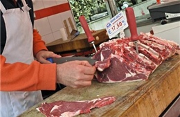 Italy lại phát hiện thịt bò trộn thịt ngựa 